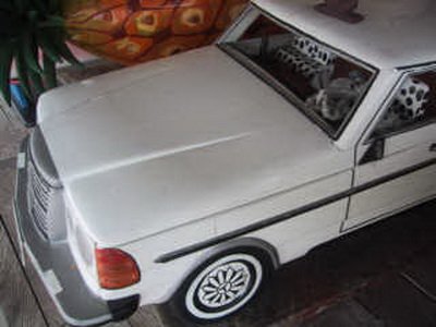 coff12_.jpg coff12_.jpg